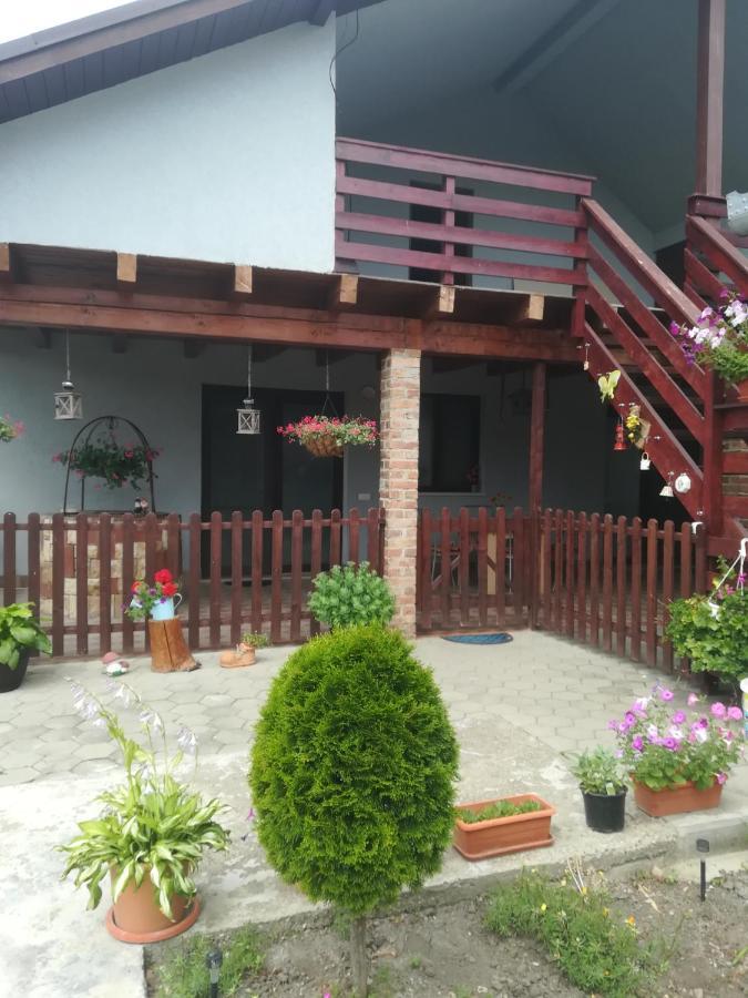 Casa Ricciotti Villa Tritenii de Jos ภายนอก รูปภาพ