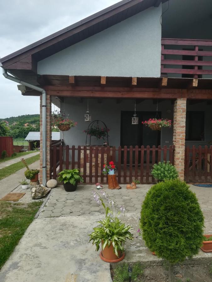 Casa Ricciotti Villa Tritenii de Jos ภายนอก รูปภาพ